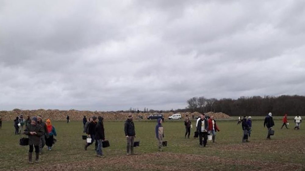Soixante-dix membres du collectif des Faucheurs volontaires d’OGM ont indiqué jeudi avoir dispersé des semences sur une plateforme d’essais de variétés de blé de Limagrain.  © Inf’OGM